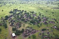 Nsonwe